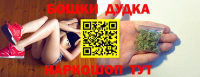 крисы Краснодар