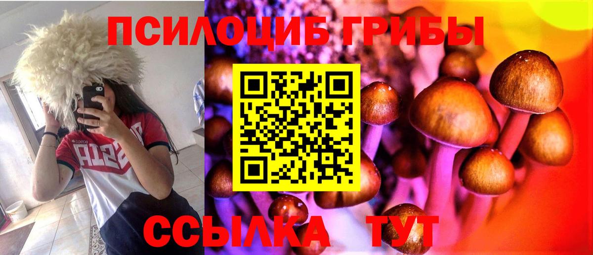 как найти наркотики  Вход с VPN  Хасавюрт  Псилоцибиновые грибы мухоморы 