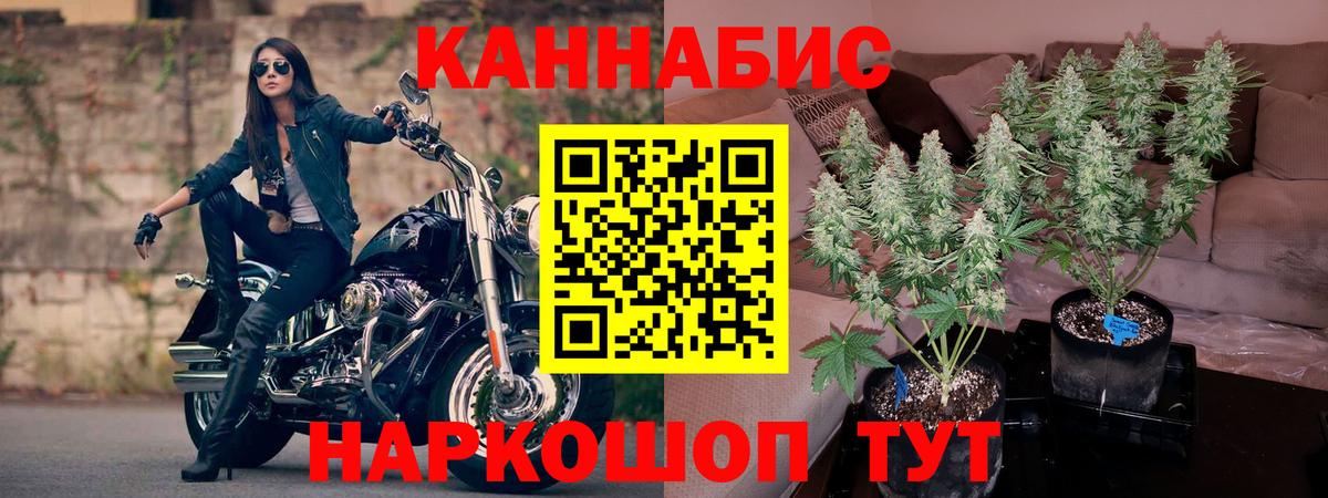 Бошки марихуана VHQ Хасавюрт